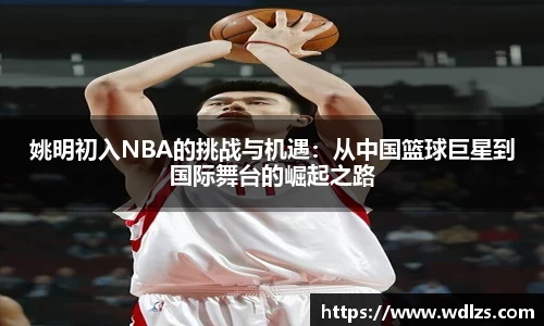 姚明初入NBA的挑战与机遇：从中国篮球巨星到国际舞台的崛起之路