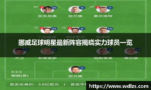 挪威足球明星最新阵容揭晓实力球员一览
